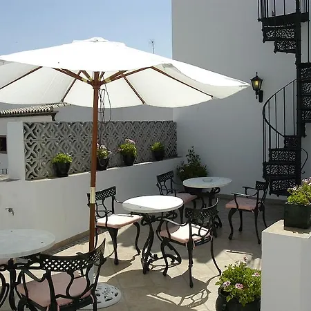 Olivos Arcos de la Frontera