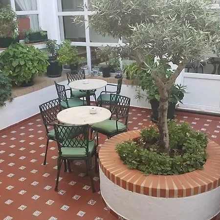 Hotel Olivos 3*