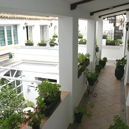Hotel Olivos