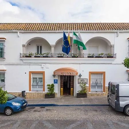 Olivos