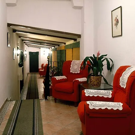 Olivos Arcos de la Frontera