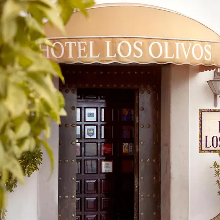 Olivos Arcos de la Frontera