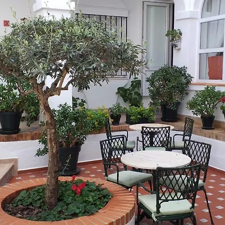 Olivos