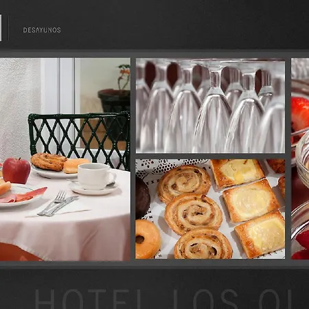 Hotel Olivos 3*