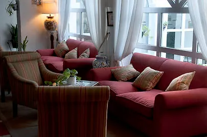 Olivos Arcos de la Frontera